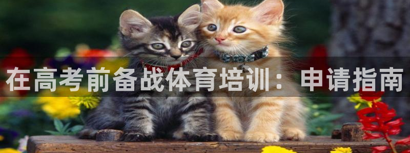 富联娱乐是骗局吗知乎：在高考前备战体育培训：申请指南
