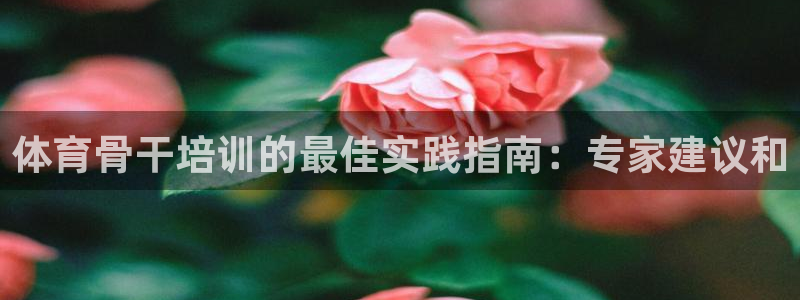 富联平台用户登陆不上：体育骨干培训的最佳实践指南：专