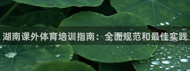 富联官方网站下载安装：湖南课外体育培训指南：全面规范和最佳实