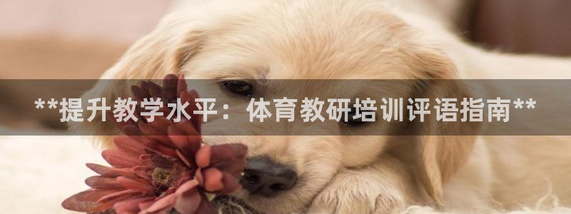 富联集团最新消息：**提升教学水平：体育教研培训评语