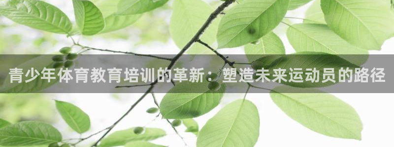 富联娱乐客服微信：青少年体育教育培训的革新：塑造未来运动员的