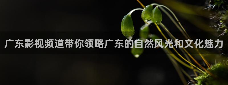 vs影院 排行榜