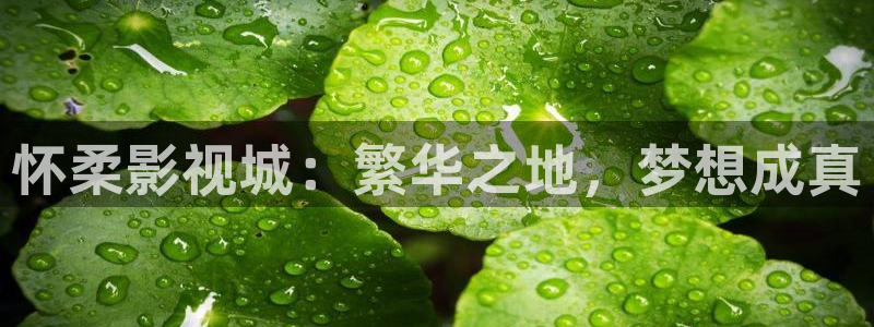 vs影院最新版电视剧免费观看