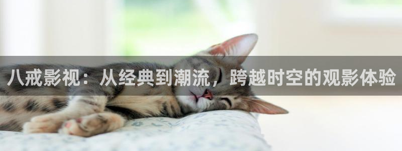 vs影院在线免费观看