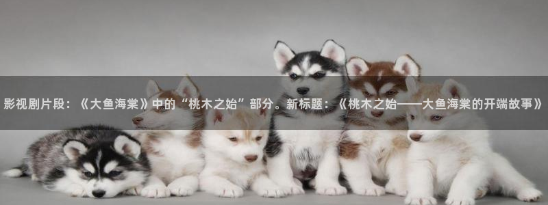 午夜tv神马影院