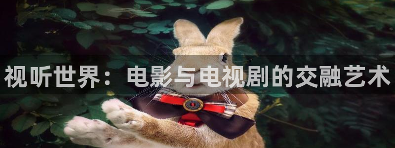 vs影院下载