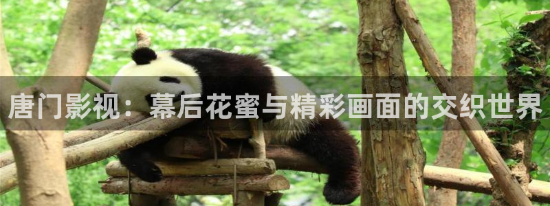 vs影院入口