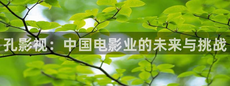 vs影院电视官网