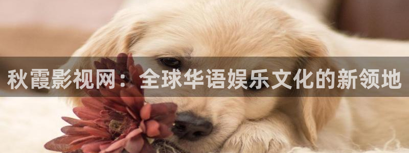 vs影院首页电视剧