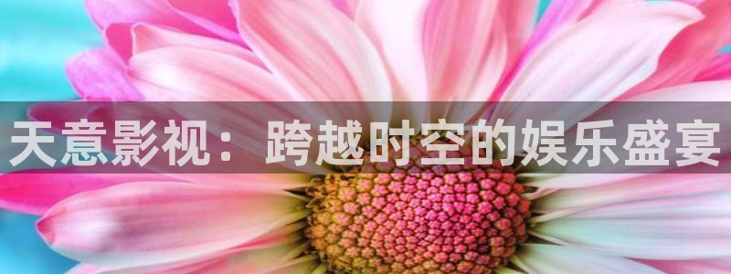 vs影院app