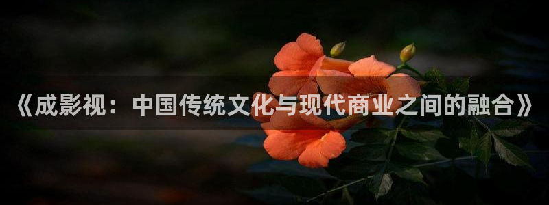 vs影院官网下载