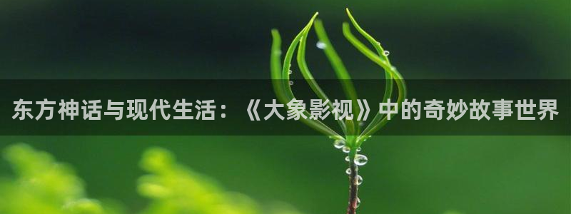 vs影院网站