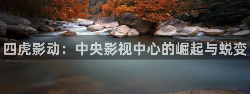 vs5支持u盘视频播放吗