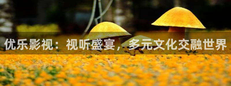 v视频