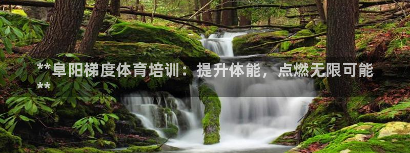 富联娱乐待 411o31 娱乐：**阜阳梯度体育培训：提升体