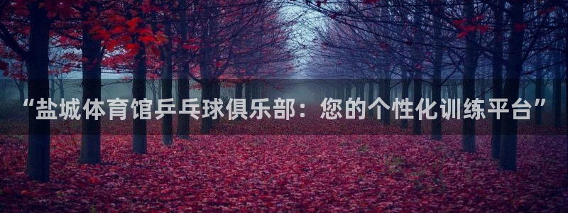 富联平台赢钱不给退怎么办理：“盐城体育馆乒乓球俱乐部：您的个