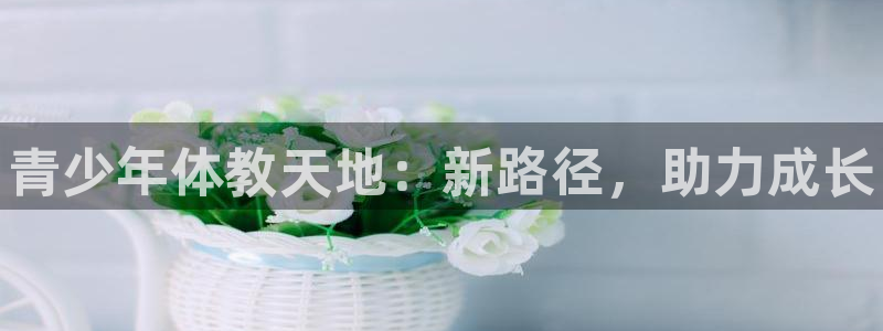 富联什么意思：青少年体教天地：新路径，助力成长