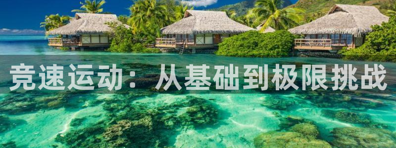 富联平台上级下级是什么：竞速运动：从基础到极限挑战