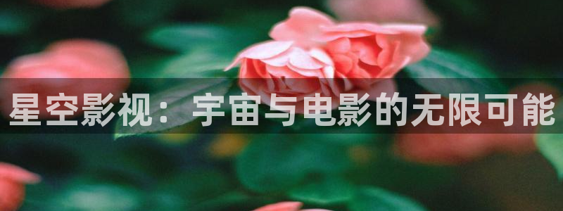 vs影院 排行榜