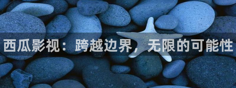 vs影院在线免费观看