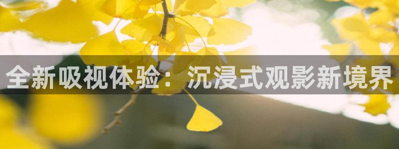 vs影院热播电视剧
