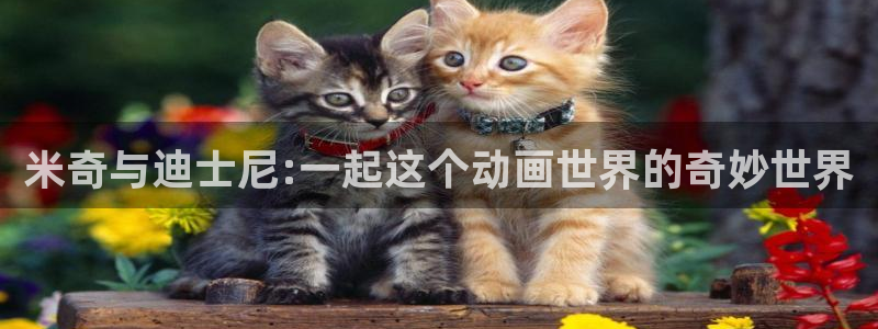 vs影院app